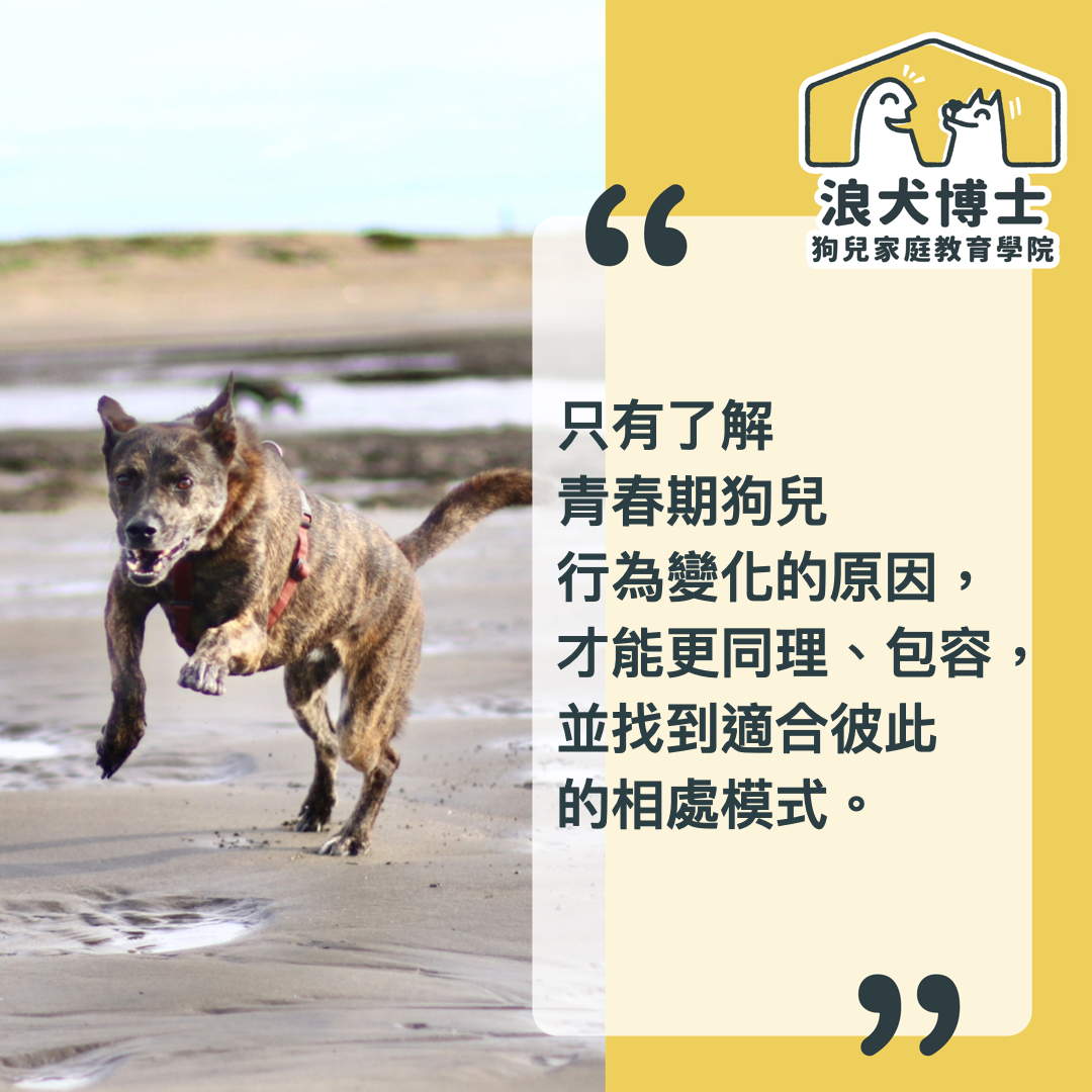 青少年狗｜狗狗行為知識講座