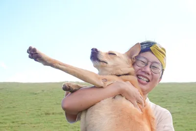 什麼 抱狗會被狗狗討厭 浪犬博士狗兒家庭教育學院